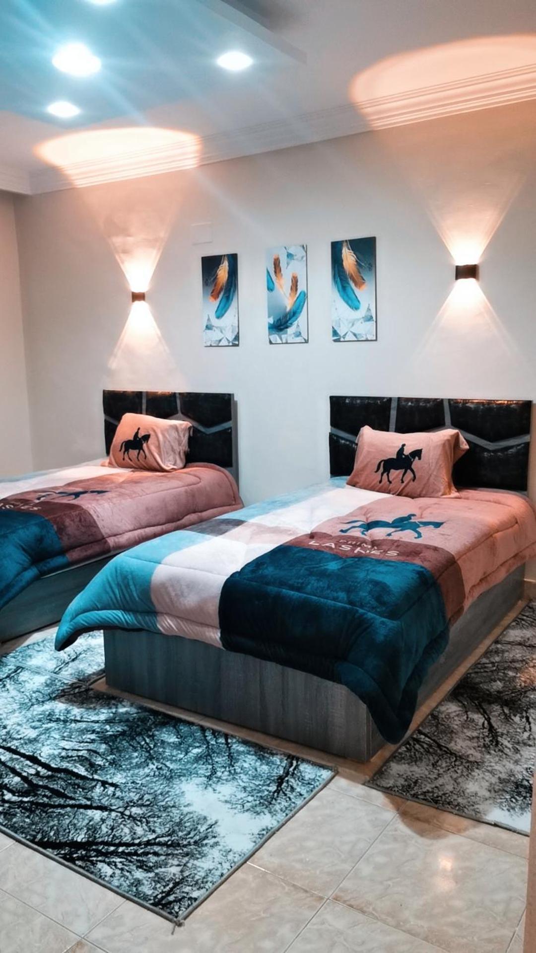 Apartment مفروشة سوبر لوكس حافظ رمضان